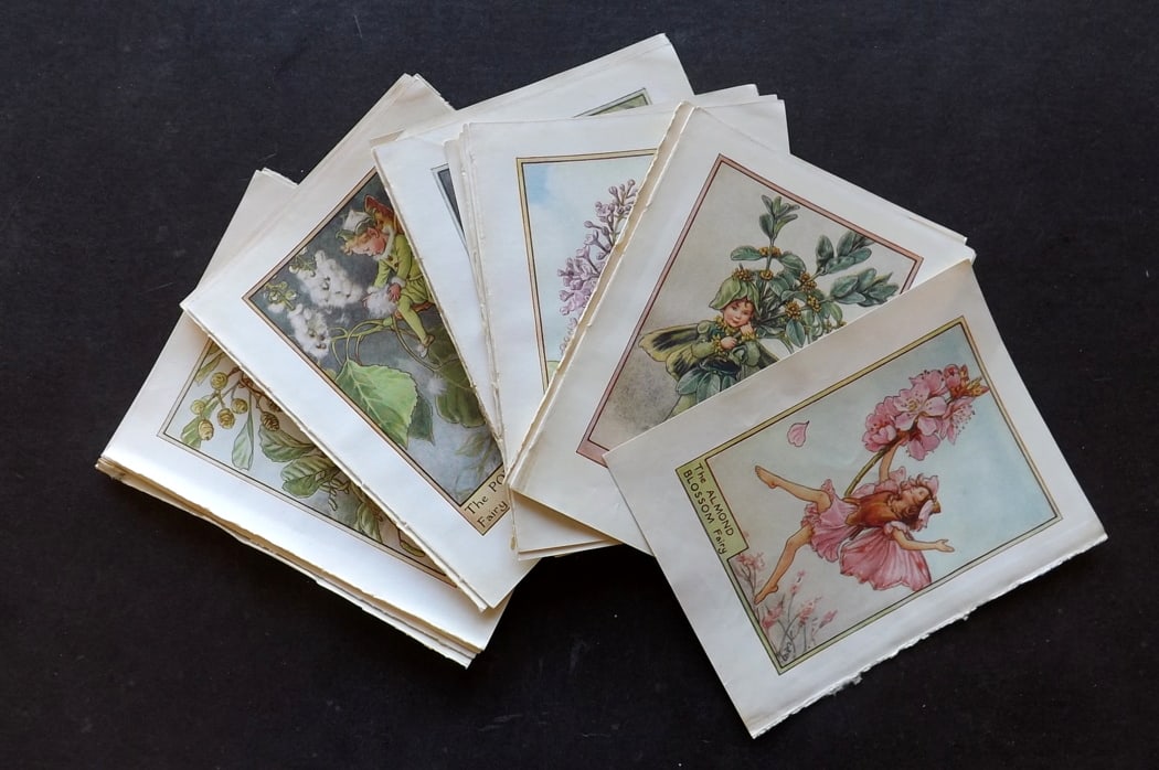 Barker, Cicely Mary C1940 Lot of 24 Flower-Fairy Prints - Tree: Tree Fairies. Lithographs Published C1935-45 by Blackie & Son, London & Glasgow for the "Flower-Fairies" Series by Cicely Mary Barker. Reverse side blank. Paper Size: 5.5 x 4 inch (14 x 10cm) Good Con