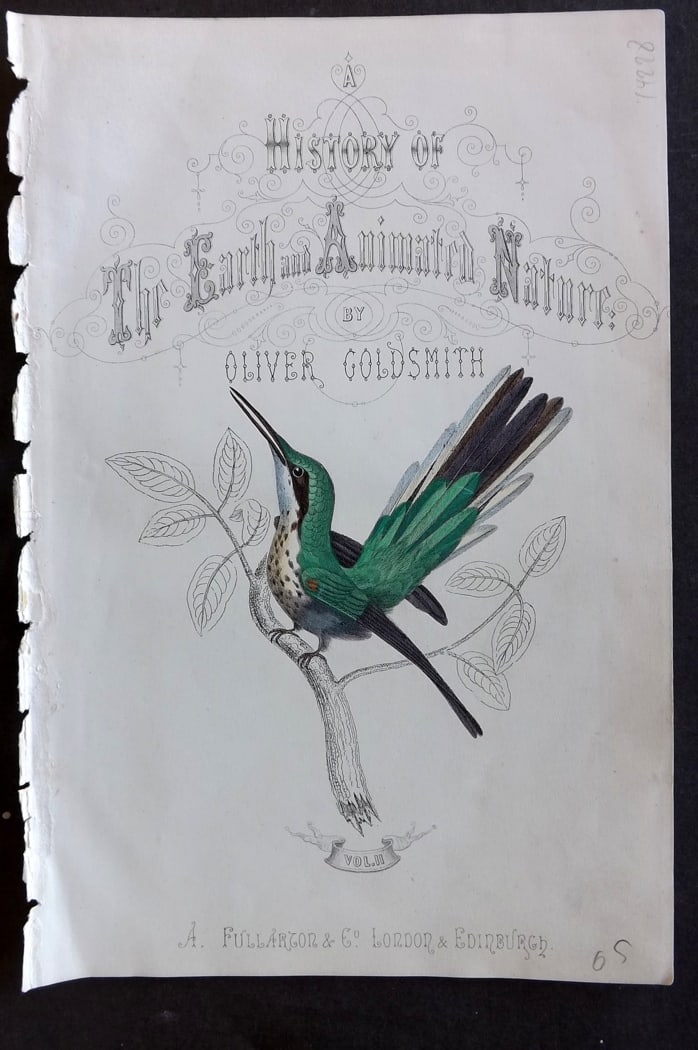 Goldsmith, Oliver C1850 Hand Col Bird Print. Hummingbird Illus. Title Page (1 of 1)