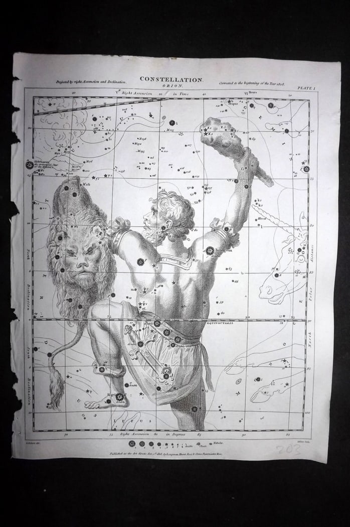 Rees, Abraham 1820 Antique Astronomy Print. Constellations - Orion (1 of 1)