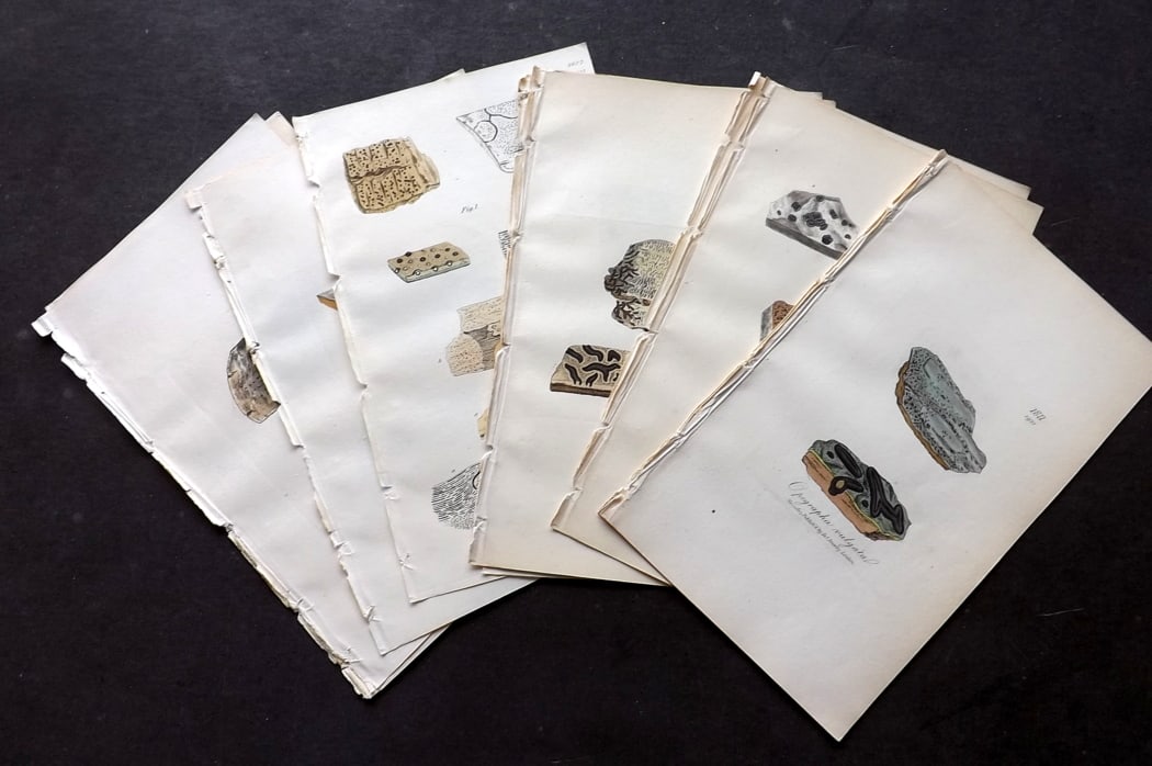Sowerby, James 1846 Lot of 35 Hand Col Botanical Prints. Lichens: Full Hand Colored Etchings Published London, 1846 for "English Botany; or, Coloured Figures of British Plants" Second Edition by James Sowerby and Edward Smith. Paper Size: 8.5 x 5 inch (22 x 13cm) Go