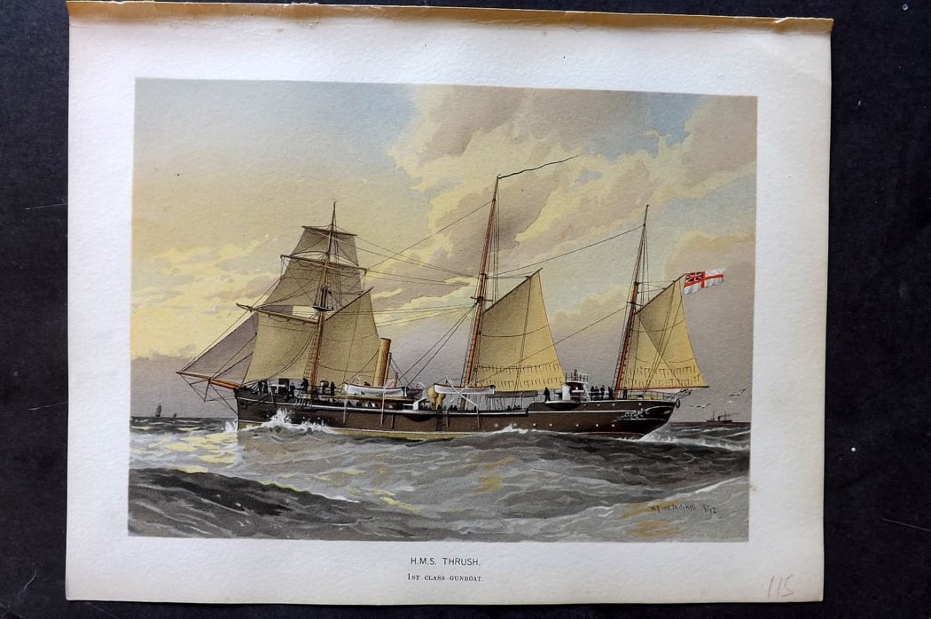 H.M. Navy 1893 Antique Ship Print. H. M. S. Thrush. 1st Class Gunboat (1 of 1)