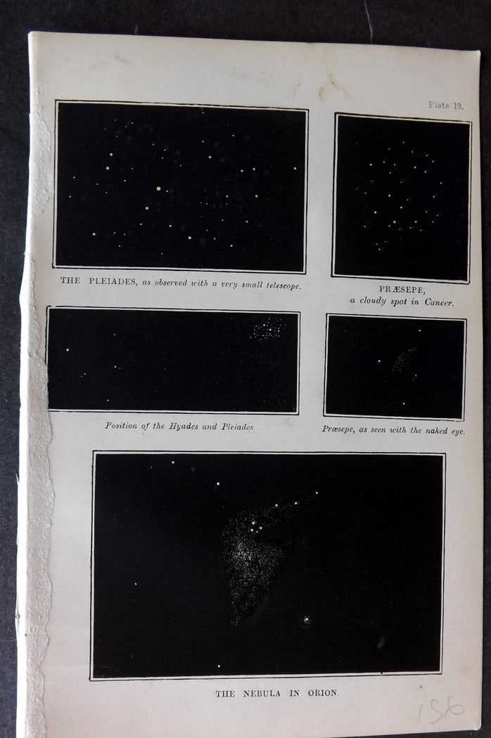 Ward, Mrs Mary 1869 Astronomy Print. Pleiades, Praesepe, Nebula in Orion (1 of 1)