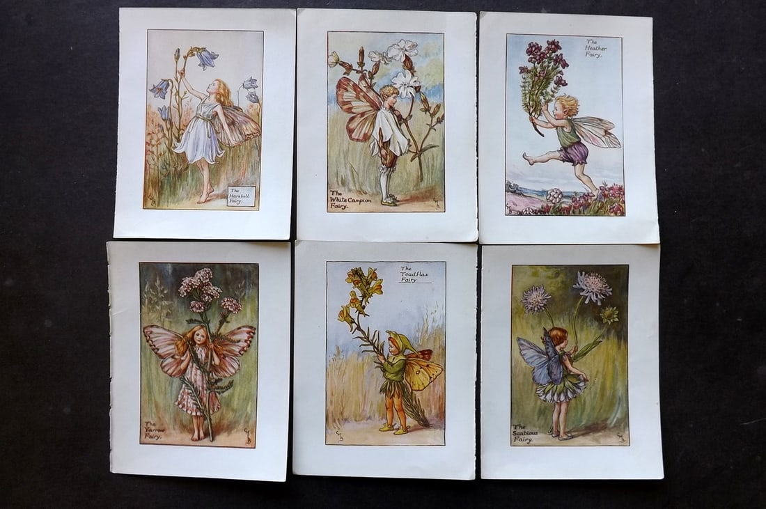 Barker, Cicely Mary C1940 Lot of 6 Flower-Fairy Prints - Summer Fairies: Lithographs Published C1935-45 by Blackie & Son, London & Glasgow for the "Flower-Fairies" Series by Cicely Mary Barker. Reverse side blank. Paper Size: 5.5 x 4 inch (14 x 10cm) Good Condition