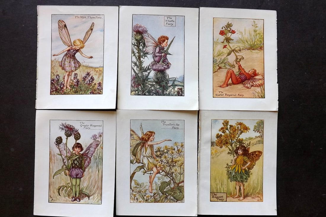 Barker, Cicely Mary C1940 Lot of 6 Flower-Fairy Prints - Summer Fairies: Lithographs Published C1935-45 by Blackie & Son, London & Glasgow for the "Flower-Fairies" Series by Cicely Mary Barker. Reverse side blank. Paper Size: 5.5 x 4 inch (14 x 10cm) Good Condition