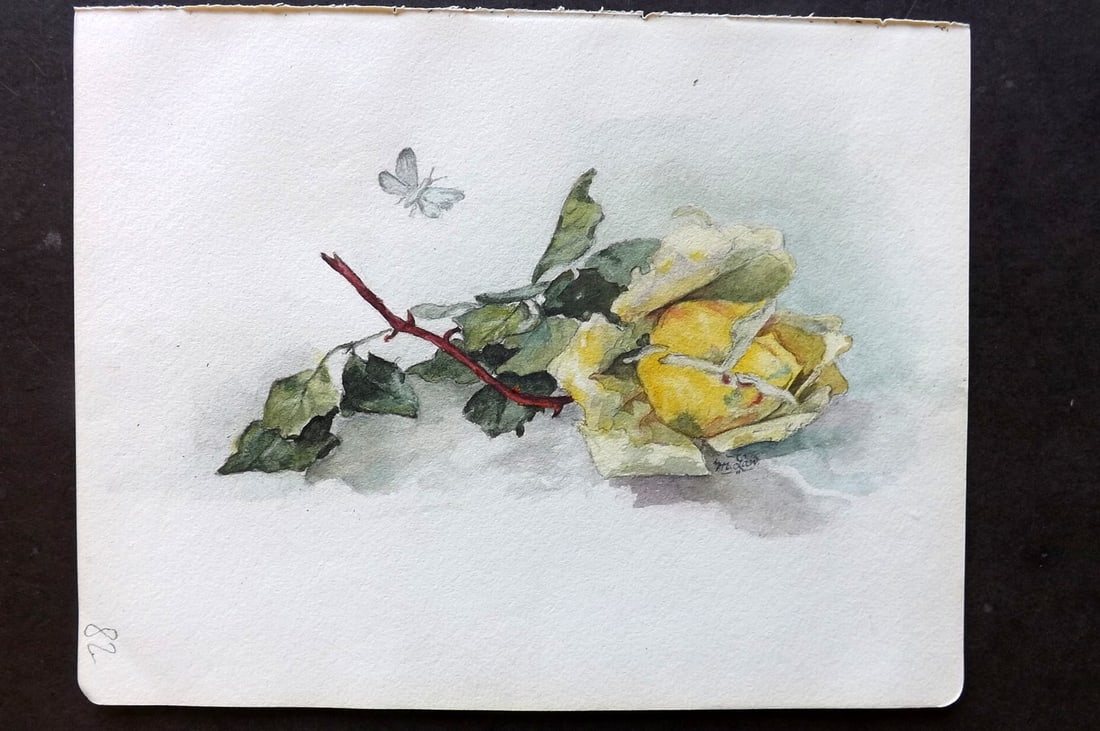 Original Art C1910 Botanical Watercolour of a Rose by M. Law: Watercolour on paper signed M. Law? C1910. Paper Size: 9 x 7 inch (23 x 18cm) Good Condition