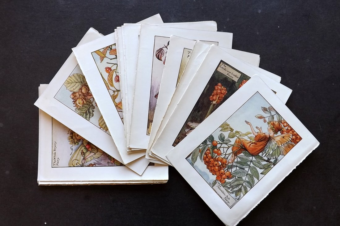 Barker, Cicely Mary C1940 Lot of 24 Flower-Fairy Prints - Autumn: Vintage Lithograph Published C1935-45 by Blackie & Son, London & Glasgow for the "Flower-Fairies" Series by Cicely Mary Barker. Reverse side blank. Paper Size: 5.5 x 4 inch (14 x 10cm) Good Condition