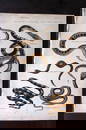 Richardson, John 1862 Hand Col Print. Boa Constrictor, Coral Snake, Rock Snake 05