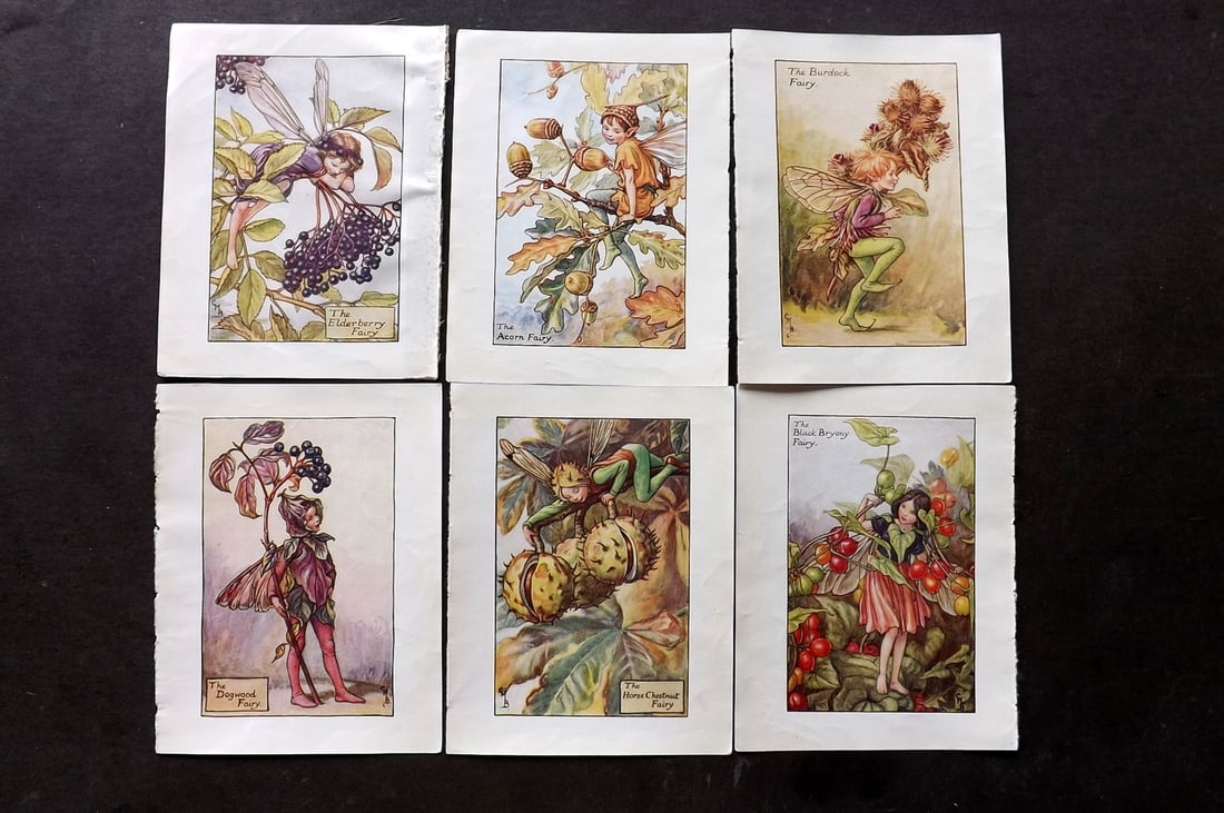 Barker, Cicely Mary C1940 Lot of 6 Flower-Fairy Prints - Autumn Fairies: Lithographs Published C1935-45 by Blackie & Son, London & Glasgow for the "Flower-Fairies" Series by Cicely Mary Barker. Reverse side blank. Paper Size: 5.5 x 4 inch (14 x 10cm) Good Condition