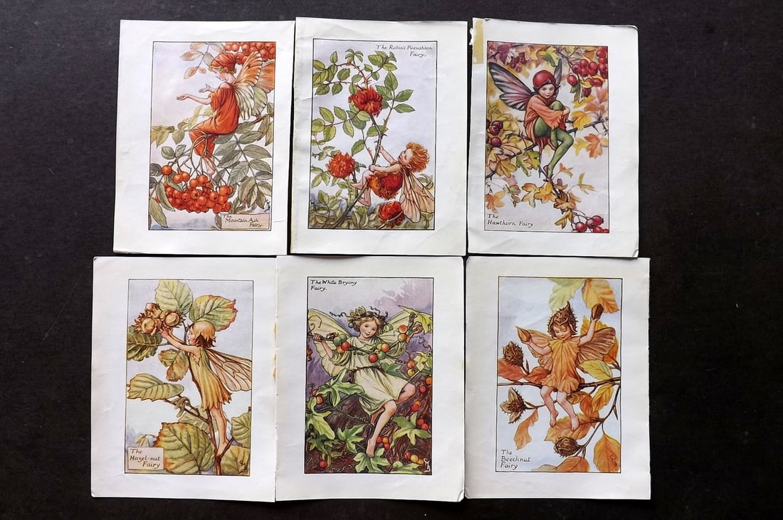 Barker, Cicely Mary C1940 Lot of 6 Flower-Fairy Prints - Autumn Fairies: Lithographs Published C1935-45 by Blackie & Son, London & Glasgow for the "Flower-Fairies" Series by Cicely Mary Barker. Reverse side blank. Paper Size: 5.5 x 4 inch (14 x 10cm) Good Condition