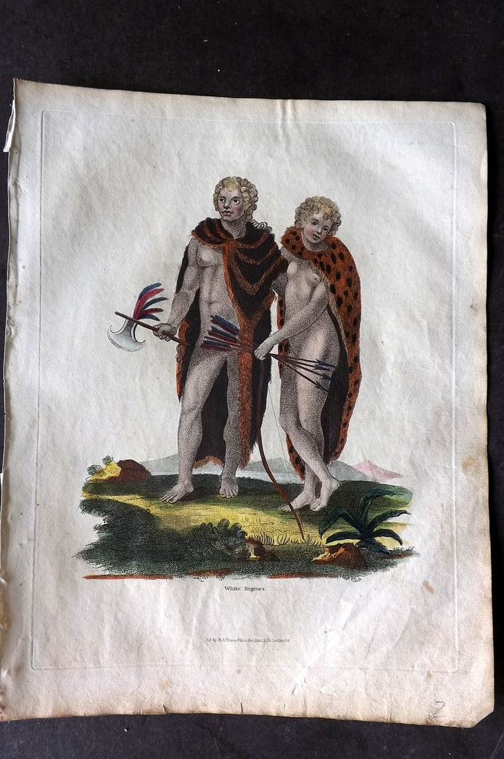 Buffon & Smellie 1817 Hand Colored Print. White Negroes, Albinos: Hand Colored Copper Plate Published 1817 by Thomas Kelly, London for "A Natural History, General and Particular..." by The Comte de Buffon and William Smellie. Paper Size: 10.5 x 8 inch (27 x 21cm) Ve