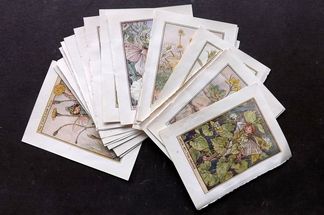 Barker, Cicely Mary C1940 Lot of 23 Flower-Fairy Prints - Wayside: Wayside Fairies. Lithographs Published C1935-45 by Blackie & Son, London & Glasgow for the "Flower-Fairies" Series by Cicely Mary Barker. Reverse side blank.Paper Size: 5.5 x 4 inch (14 x 10cm) Good C