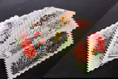 Weathers, John 1904 Lot of 28 Antique Botanical Prints