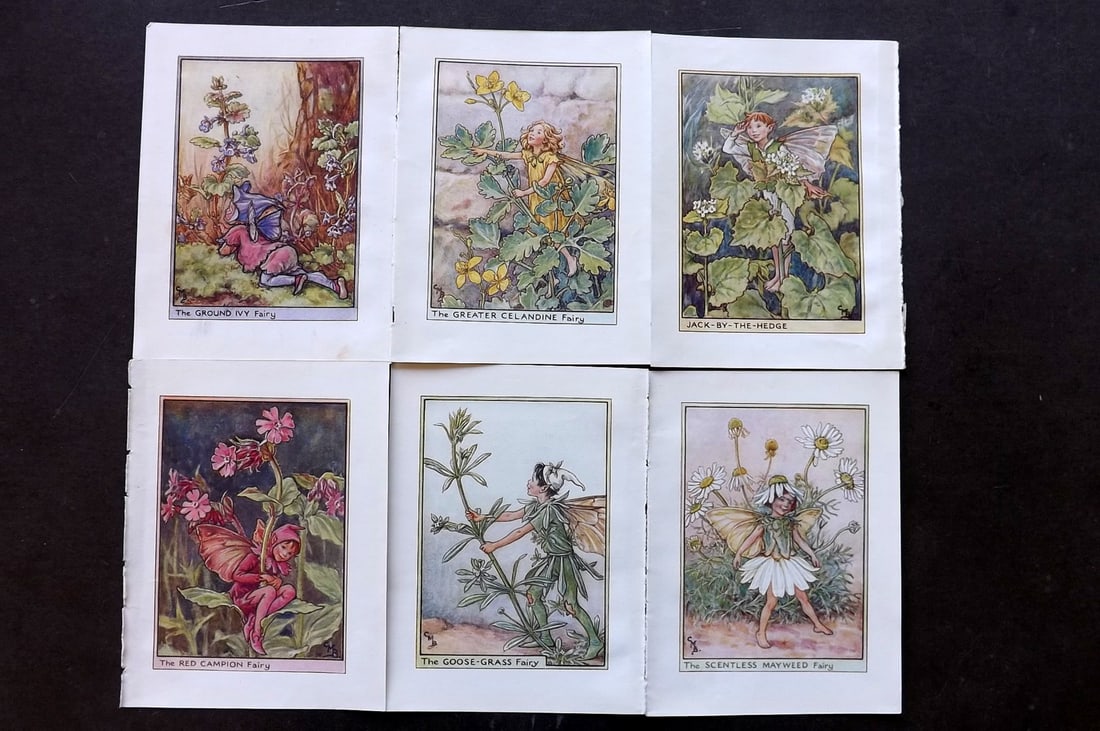 Barker, Cicely Mary C1940 Lot of 6 Flower-Fairy Prints - Wayside: Wayside Fairies. Lithographs Published C1935-45 by Blackie & Son, London & Glasgow for the "Flower-Fairies" Series by Cicely Mary Barker. Reverse side blank.Paper Size: 5.5 x 4 inch (14 x 10cm) Good C