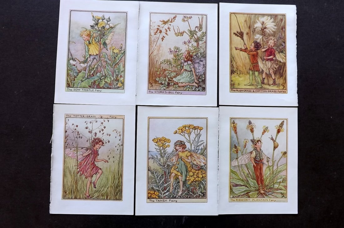 Barker, Cicely Mary C1940 Lot of 6 Flower-Fairy Prints - Wayside: Wayside Fairies. Lithographs Published C1935-45 by Blackie & Son, London & Glasgow for the "Flower-Fairies" Series by Cicely Mary Barker. Reverse side blank.Paper Size: 5.5 x 4 inch (14 x 10cm) Good C