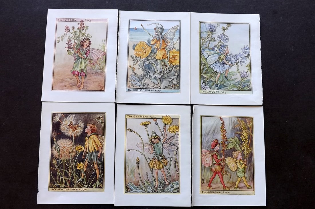 Barker, Cicely Mary C1940 Lot of 6 Flower-Fairy Prints - Wayside: Wayside Fairies. Lithographs Published C1935-45 by Blackie & Son, London & Glasgow for the "Flower-Fairies" Series by Cicely Mary Barker. Reverse side blank.Paper Size: 5.5 x 4 inch (14 x 10cm) Good C