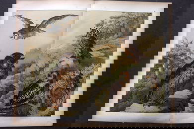 Schubert, Gotthilf C1880 Folio Bird Print. Owls 05