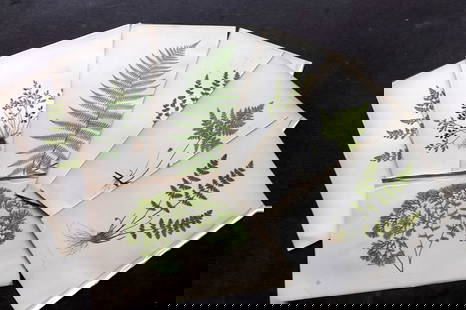 Lowe, Edward 1867 Lot of 12 Antique Fern Prints: Color Printed Woodblooks Published 1867, London for "Our Native Ferns..." by Edward Lowe. Paper Size: 9.5 x 6 inch (24 x 15cm) Occasional background tone spots. Good Condition