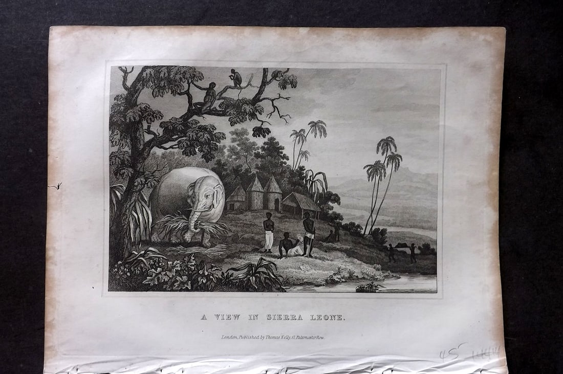 Kelly, Christopher 1841 Antique Print. View in Sierra Leone, Elephant: Steel Engraving Published 1841, London for "An Authentic History and Entertaining Description of the World and its Inhabitants..." by Christopher Kelly and Thomas Bartlett. Paper Size: 10.5 x 8 inch (