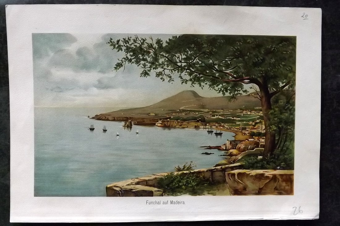 Madeira C1890 Antique Print. Funchal auf Madeira: Chromolithograph Published C1890, Germany. Unknown Artist and Publication. Paper Size: 10 x 6.5 inch (25 x 17cm) Good Condition