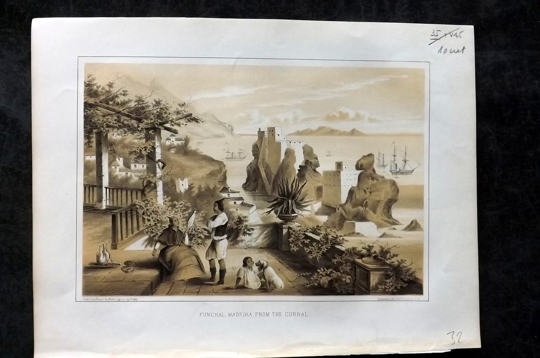 Perry, Matthew C. 1856 Print. Madeira - Funchal from the Curral (1 of 1)