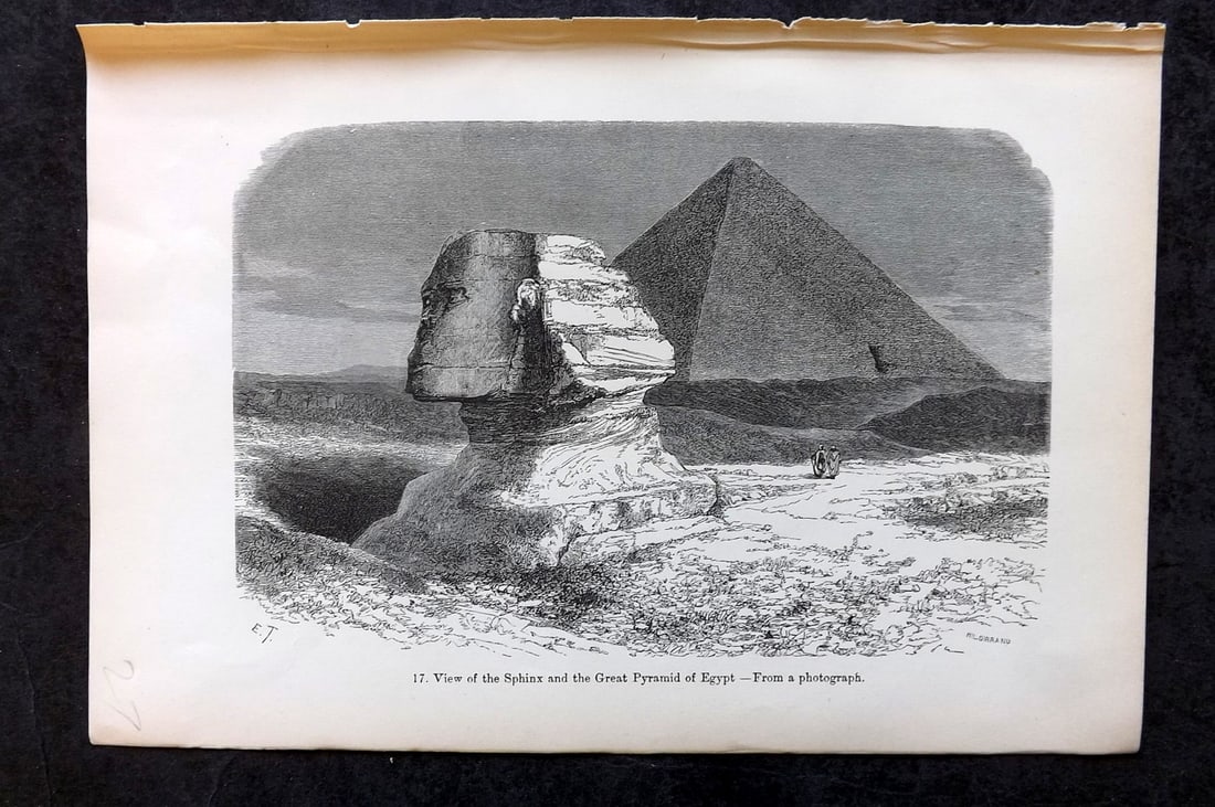 Pouchet, F. A. C1890 Antique Print. Sphinx, Egypt: Wood Engraving (Reverse side blank) Published C1890, London for "The Universe: Or, The Infinitely Great and The Infinitely Little" by F. A. Pouchet. Paper Size: 8.5 x 6 inch (22 x 15cm) Good Condition