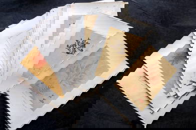 Original Art C1875 Lot of 10 Red Seaweed Pen, Ink & Watercolours