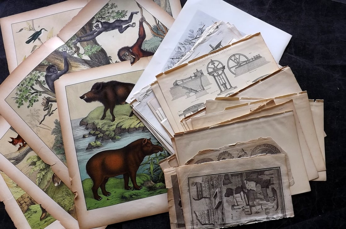 Mixed Prints 18th-19th Cent. Lot of 60 Engravings & Lithos (1 of 9)