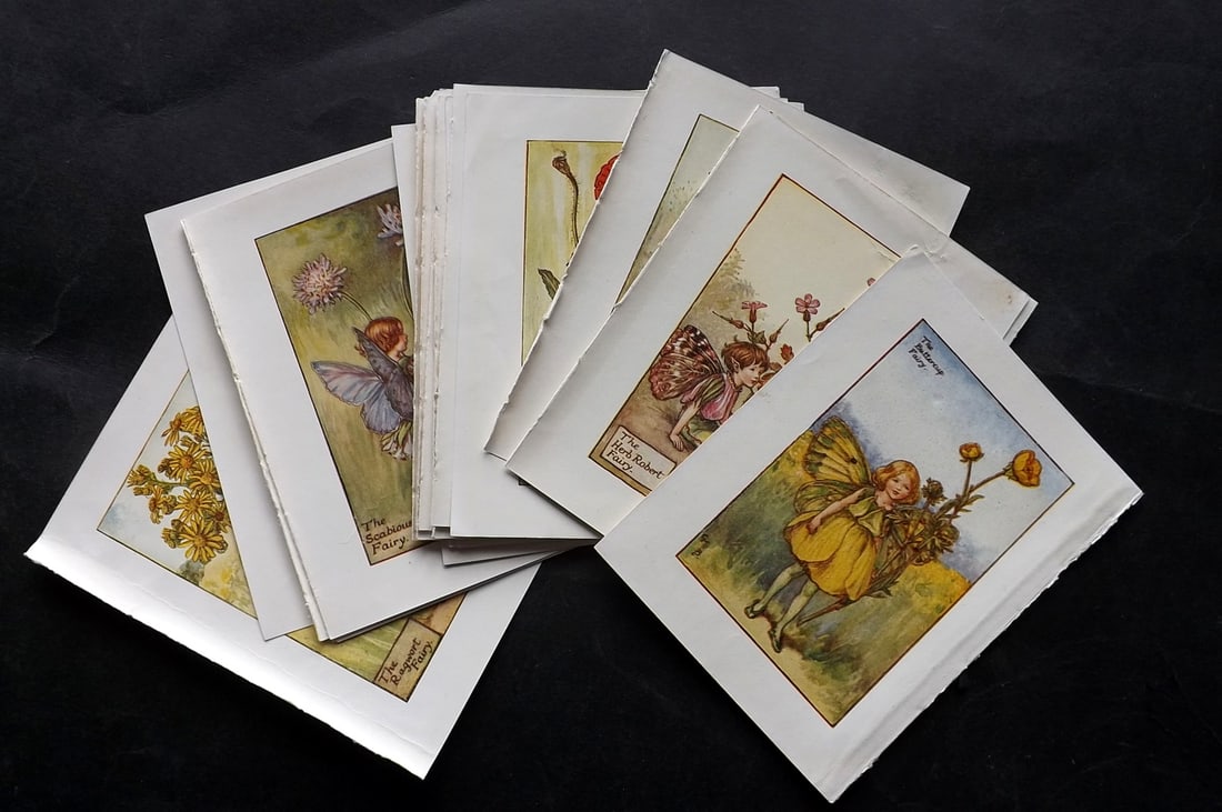 Barker, Cicely Mary C1940 Lot of 24 Flower-Fairy Prints - Summer: Summer Fairies. Lithographs Published C1935-45 by Blackie & Son, London & Glasgow for the "Flower-Fairies" Series by Cicely Mary Barker. Reverse side blank.Paper Size: 5.5 x 4 inch (14 x 10cm) Good Co