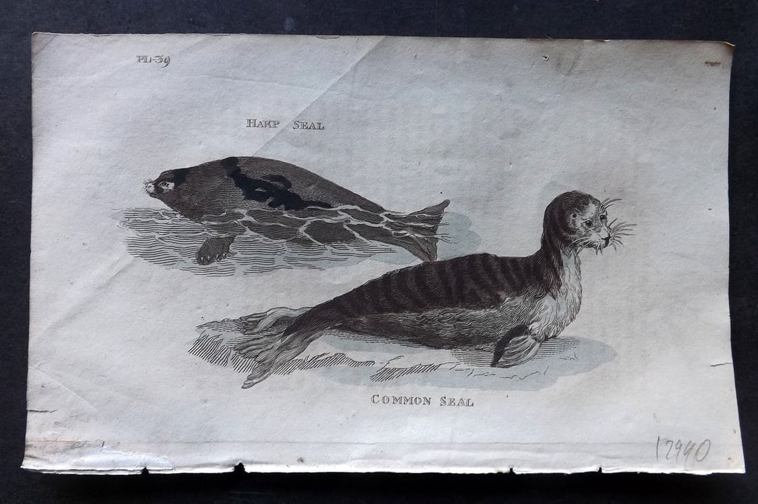 Brightly (Pub) 1811 Hand Col Print. Harp & Common Seal 39 (1 of 1)