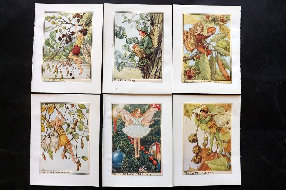 Barker, Cicely Mary C1940 Lot of 6 Flower-Fairy Prints - Tree: Tree Fairies. Lithographs Published C1935-45 by Blackie & Son, London & Glasgow for the "Flower-Fairies" Series by Cicely Mary Barker. Reverse side blank.Paper Size: 5.5 x 4 inch (14 x 10cm) Good Cond