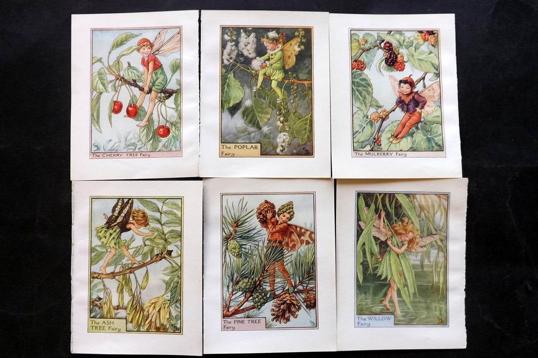 Barker, Cicely Mary C1940 Lot of 6 Flower-Fairy Prints - Tree: Tree Fairies. Lithographs Published C1935-45 by Blackie & Son, London & Glasgow for the "Flower-Fairies" Series by Cicely Mary Barker. Reverse side blank.Paper Size: 5.5 x 4 inch (14 x 10cm) Good Cond