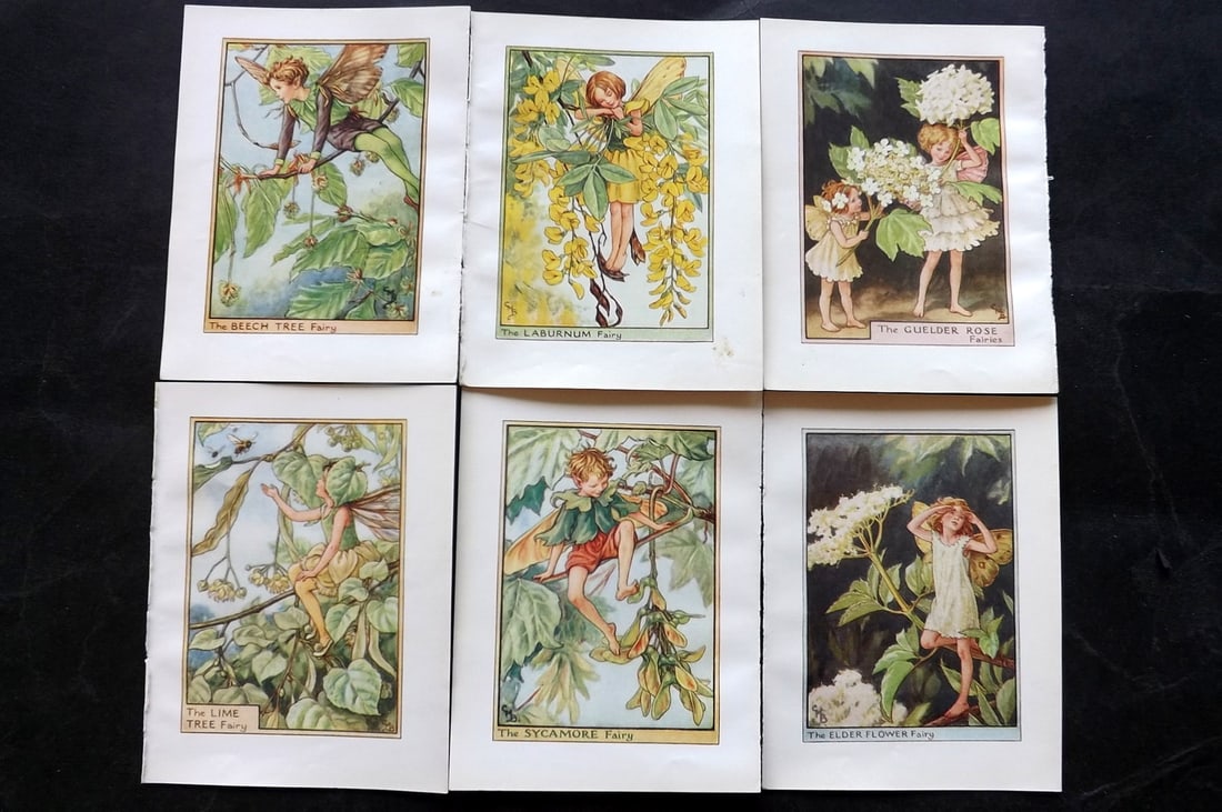 Barker, Cicely Mary C1940 Lot of 6 Flower-Fairy Prints - Tree: Tree Fairies. Lithographs Published C1935-45 by Blackie & Son, London & Glasgow for the "Flower-Fairies" Series by Cicely Mary Barker. Reverse side blank.Paper Size: 5.5 x 4 inch (14 x 10cm) Good Cond