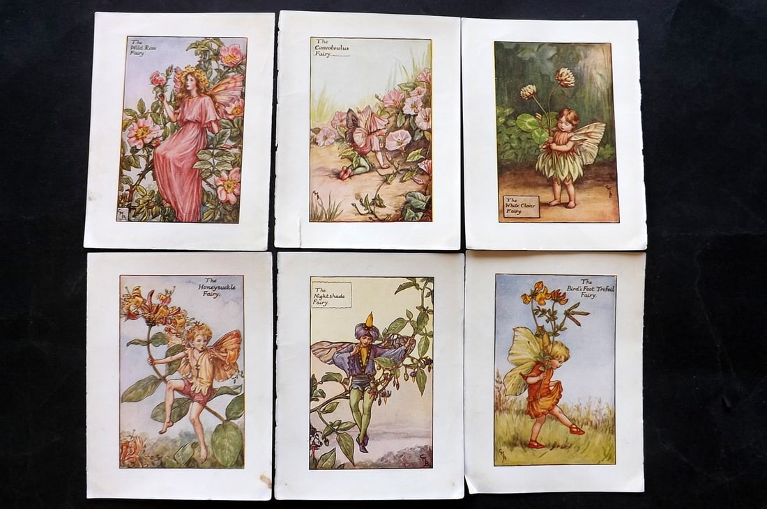 Barker, Cicely Mary C1940 Lot of 6 Flower-Fairy Prints - Summer: Summer Fairies. Lithographs Published C1935-45 by Blackie & Son, London & Glasgow for the "Flower-Fairies" Series by Cicely Mary Barker. Reverse side blank.Paper Size: 5.5 x 4 inch (14 x 10cm) Good Co