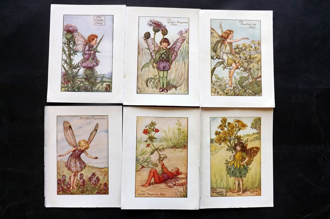 Barker, Cicely Mary C1940 Lot of 6 Flower-Fairy Prints - Summer: Summer Fairies. Lithographs Published C1935-45 by Blackie & Son, London & Glasgow for the "Flower-Fairies" Series by Cicely Mary Barker. Reverse side blank.Paper Size: 5.5 x 4 inch (14 x 10cm) Good Co