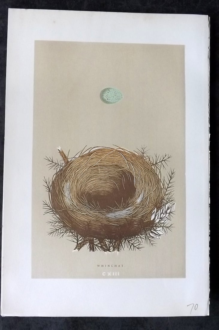Morris, Francis 1896 Antique Bird Nest Print. Whinchat 113: Woodblocks Published 1870, London for "A Natural History of the Nests and Eggs of British Birds" By the Rev. Francis Orpen Morris, printed Benjamin Fawcett. Paper Size: 10 x 7 nch (26 x 18cm) Good Con