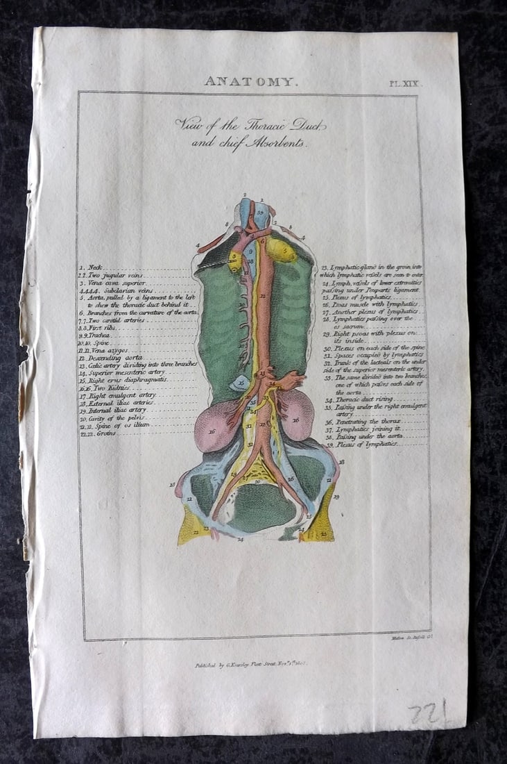 Good, John 1813 Hand Col Anatomy Print. Thoracic duct 19: Copper Plate Published 1806-13, London for "Pantologia: A New Cyclopaedia, Comprehending a Complete Series of Essays" by John Mason Good et al. Fine hand colour as issued. Paper Size: 9.5 x 6 inch (24