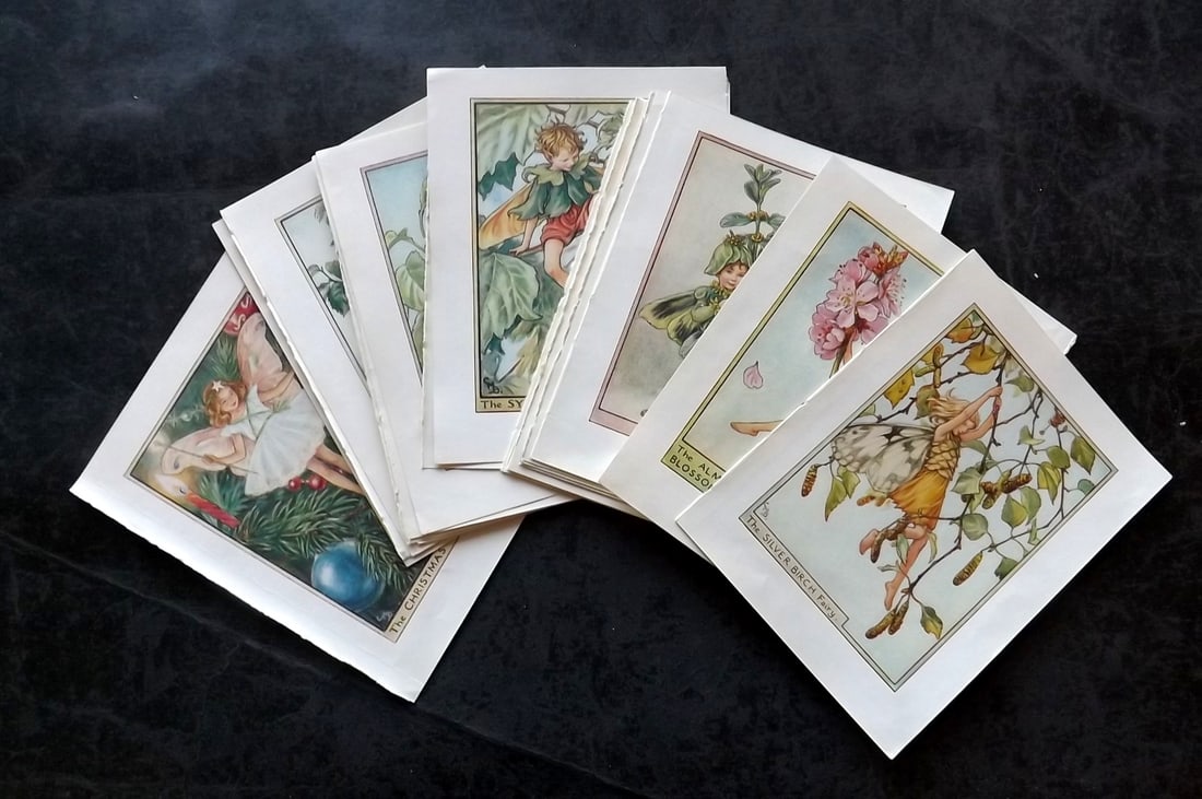 Barker, Cicely Mary C1940 Lot of 24 Flower-Fairy Prints - Tree: Tree Fairies. Lithographs Published C1935-45 by Blackie & Son, London & Glasgow for the "Flower-Fairies" Series by Cicely Mary Barker. Reverse side blank.Paper Size: 5.5 x 4 inch (14 x 10cm) Good Cond