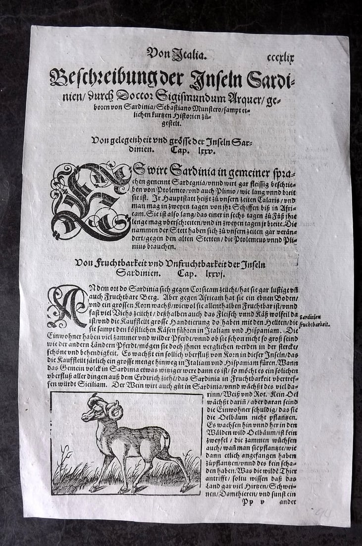Munster, Sebastian 1578 Early Woodcut. Sardian Ram. Italy (1 of 2)