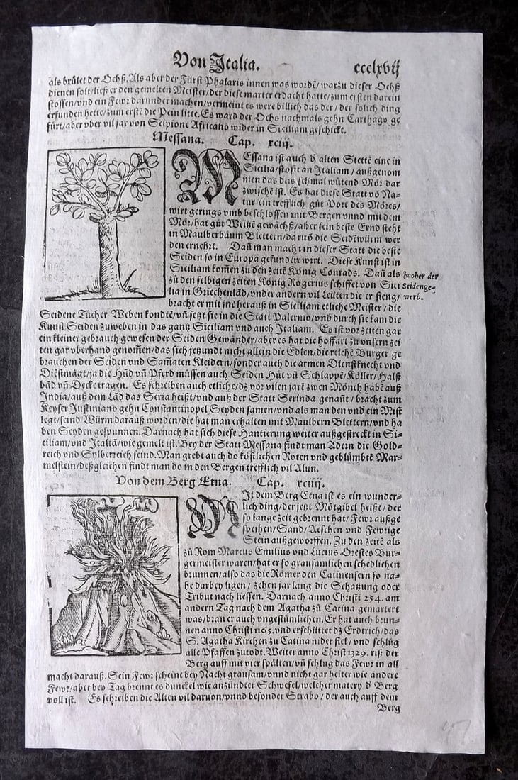 Munster, Sebastian 1578 Early Woodcut. Mount Etna Erupting Sicily & Mulberry Tree, Italy (1 of 2)