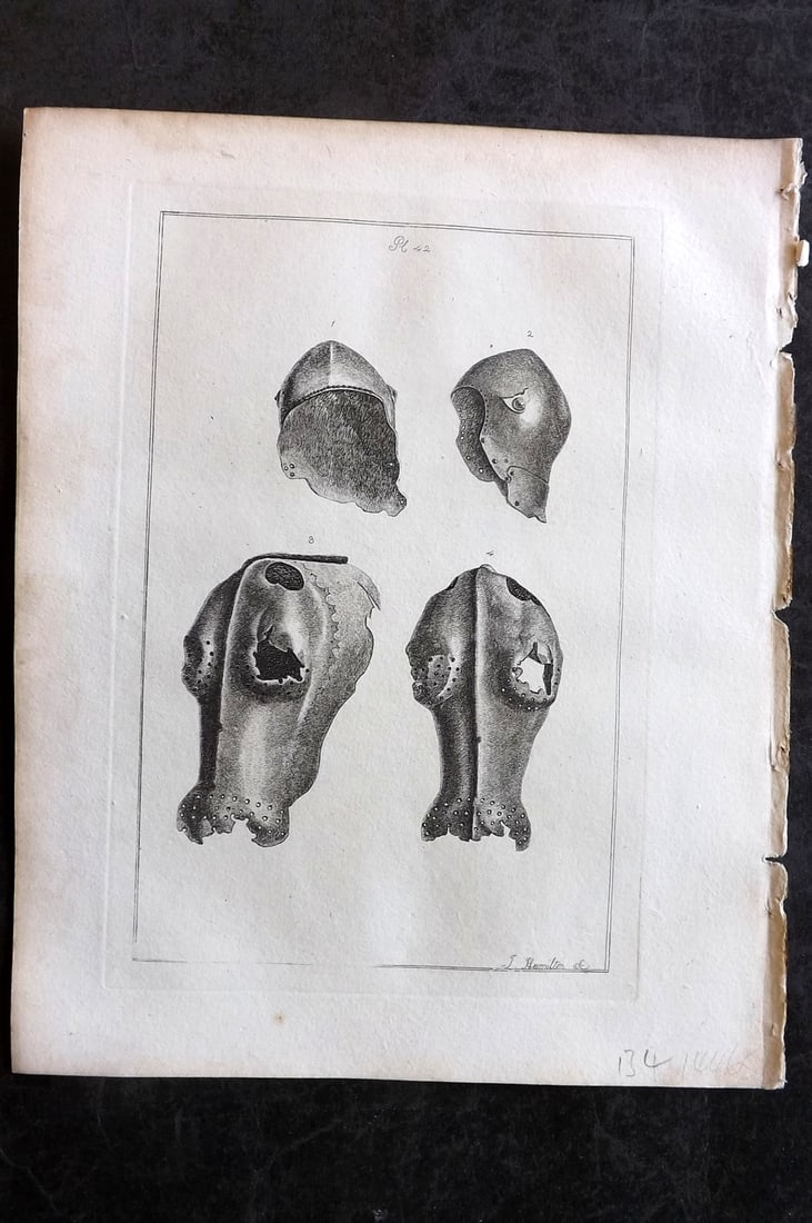 Grose, Francis 1801 Antique Military Print. Ancient Armour - Barding & Helmets 42 (1 of 1)