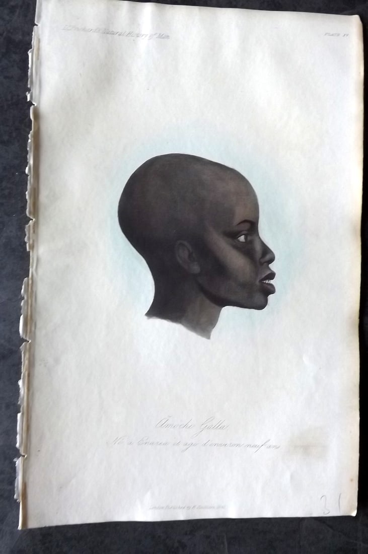 Prichard, James 1845 HCol Print. Africa - A Galler Boy nine years of age. Ethiopia 15 (1 of 1)