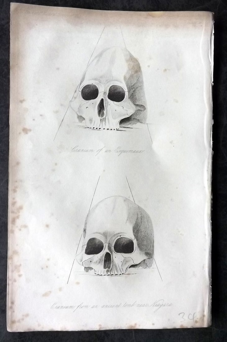 Prichard, James 1845 Print. Canada - Skulls of Eskimo etc. Niagara USA (1 of 1)