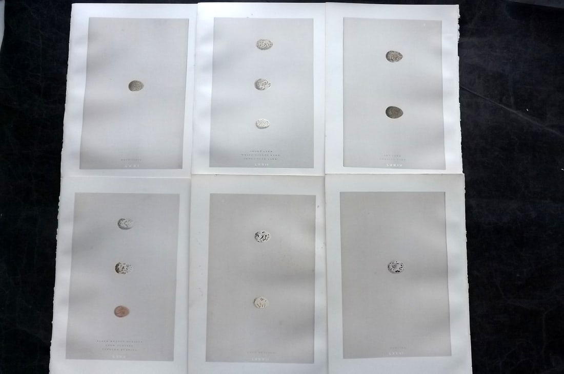 Morris, Francis 1892 Lot of 6 Antique Bird Egg Prints: Woodblocks Published 1892, London for "A Natural History of the Nests and Eggs of British Birds" By the Rev. Francis Orpen Morris, printed Benjamin Fawcett. Paper Size: 10 x 7 nch (26 x 18cm) Good Con