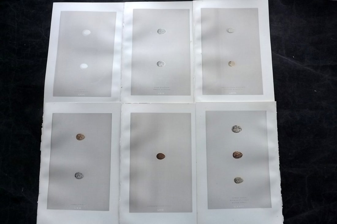 Morris, Francis 1892 Lot of 6 Antique Bird Egg Prints: Woodblocks Published 1892, London for "A Natural History of the Nests and Eggs of British Birds" By the Rev. Francis Orpen Morris, printed Benjamin Fawcett. Paper Size: 10 x 7 nch (26 x 18cm) Good Con