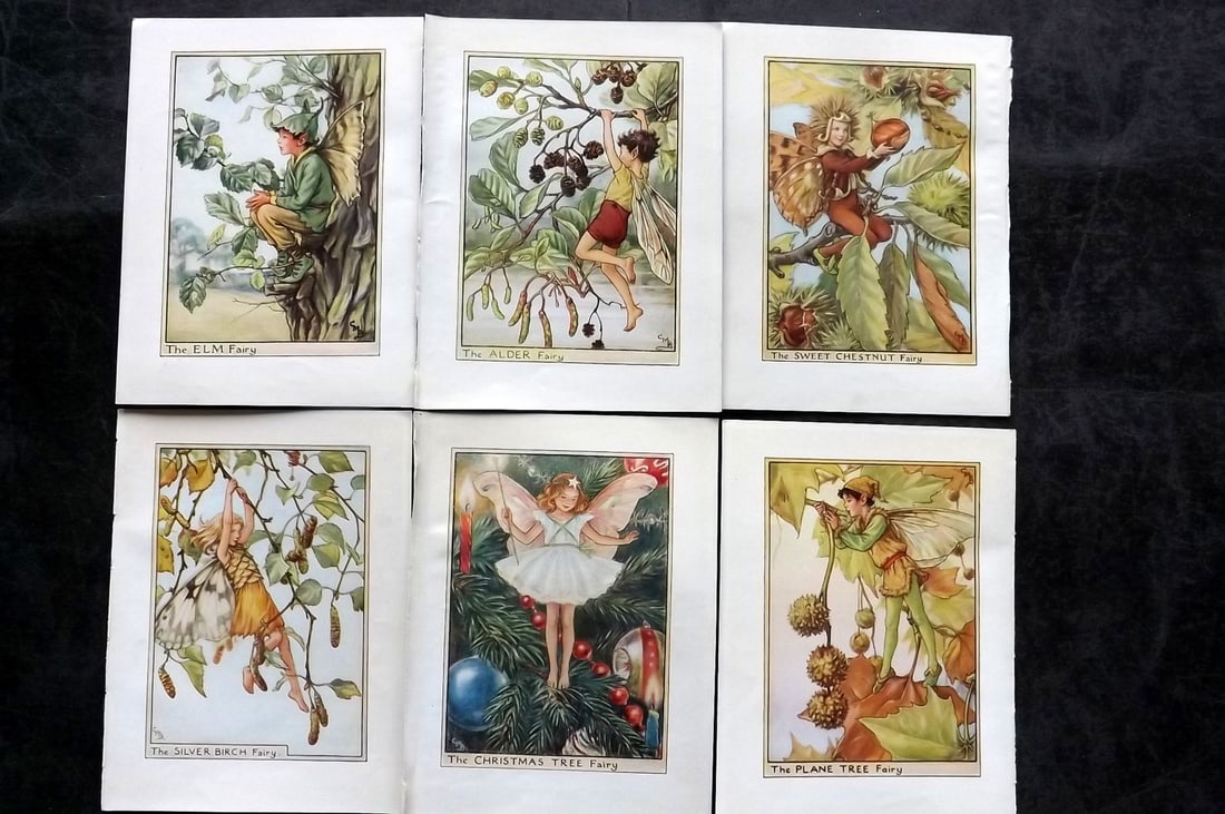 Barker, Cicely Mary C1940 Lot of 6 Flower-Fairy Prints - Tree: Tree Fairies. Lithographs Published C1935-45 by Blackie & Son, London & Glasgow for the "Flower-Fairies" Series by Cicely Mary Barker. Reverse side blank.Paper Size: 5.5 x 4 inch (14 x 10cm) Good Cond