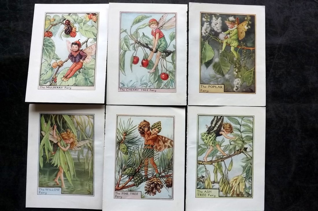Barker, Cicely Mary C1940 Lot of 6 Flower-Fairy Prints - Tree: Tree Fairies. Lithographs Published C1935-45 by Blackie & Son, London & Glasgow for the "Flower-Fairies" Series by Cicely Mary Barker. Reverse side blank.Paper Size: 5.5 x 4 inch (14 x 10cm) Good Cond