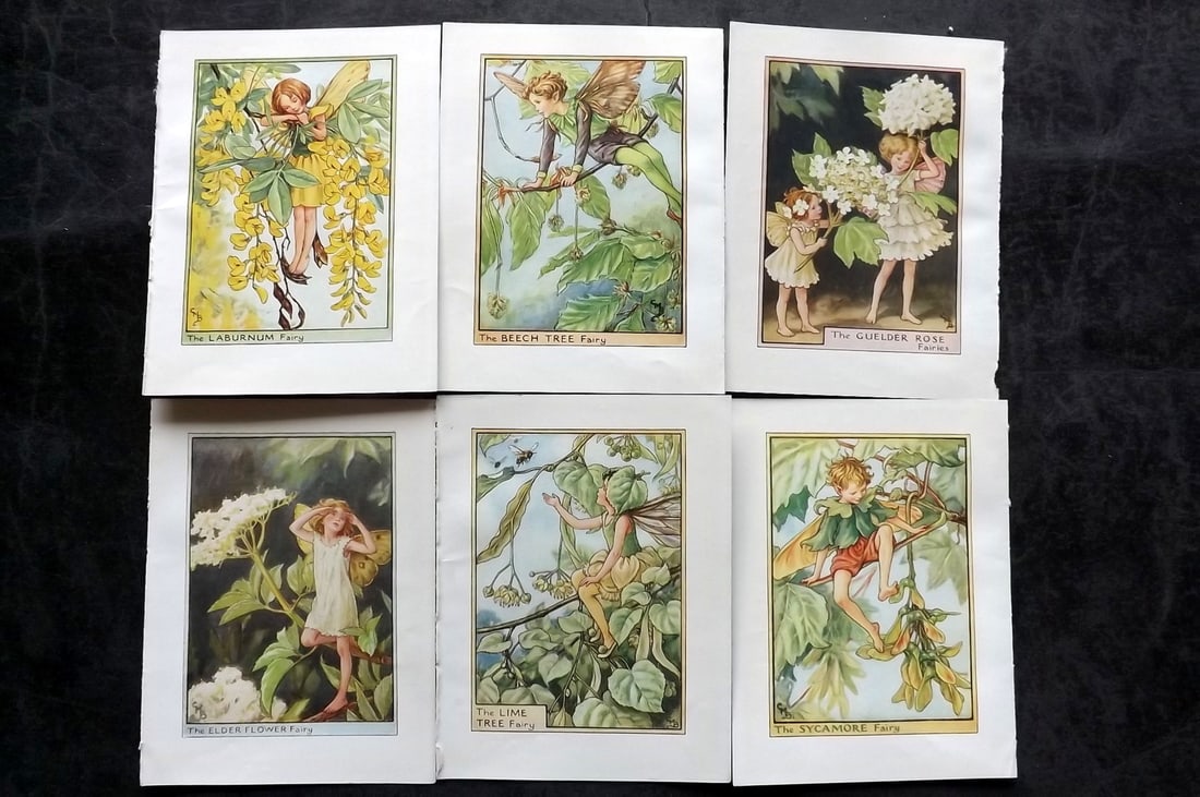 Barker, Cicely Mary C1940 Lot of 6 Flower-Fairy Prints - Tree: Tree Fairies. Lithographs Published C1935-45 by Blackie & Son, London & Glasgow for the "Flower-Fairies" Series by Cicely Mary Barker. Reverse side blank.Paper Size: 5.5 x 4 inch (14 x 10cm) Good Cond