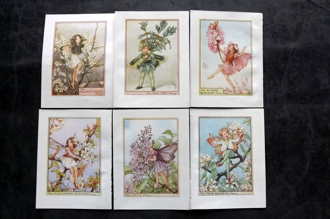 Barker, Cicely Mary C1940 Lot of 6 Flower-Fairy Prints - Tree: Tree Fairies. Lithographs Published C1935-45 by Blackie & Son, London & Glasgow for the "Flower-Fairies" Series by Cicely Mary Barker. Reverse side blank.Paper Size: 5.5 x 4 inch (14 x 10cm) Good Cond