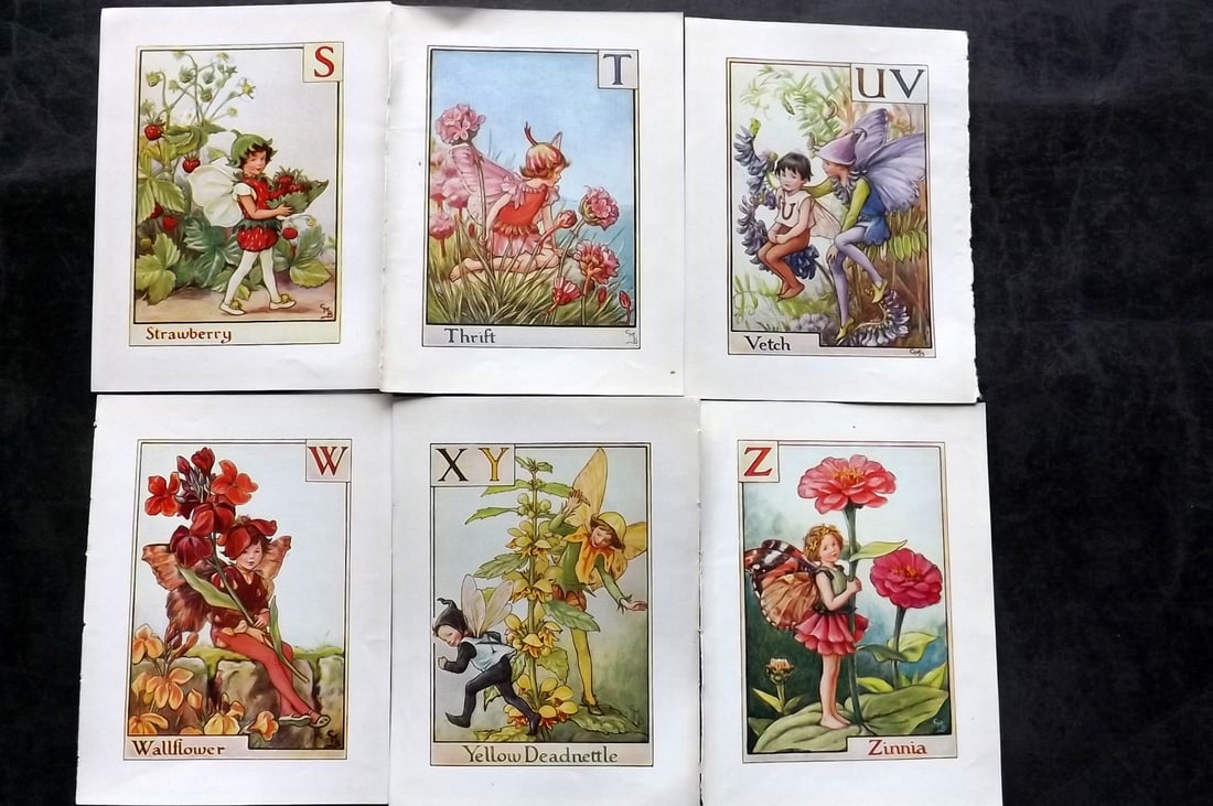 Barker, Cicely Mary C1940 Lot of 6 Flower-Fairy Prints - Alphabet - S-Z: Alphabet Fairies. Lithographs Published C1935-45 by Blackie & Son, London & Glasgow for the "Flower-Fairies" Series by Cicely Mary Barker. Reverse side blank.Paper Size: 5.5 x 4 inch (14 x 10cm) Good 