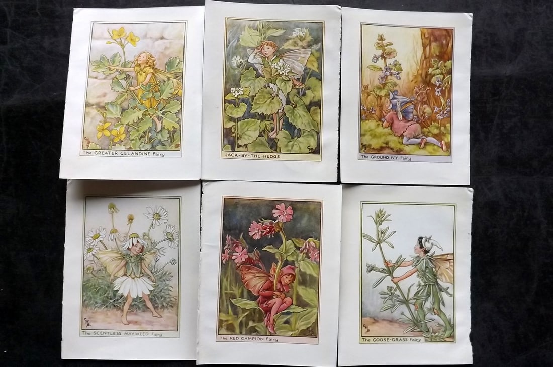 Barker, Cicely Mary C1940 Lot of 6 Flower-Fairy Prints - Wayside: Wayside Fairies. Lithographs Published C1935-45 by Blackie & Son, London & Glasgow for the "Flower-Fairies" Series by Cicely Mary Barker. Reverse side blank.Paper Size: 5.5 x 4 inch (14 x 10cm) Good C